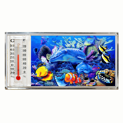 3D Thermometer Magnet Dolphin/Reef